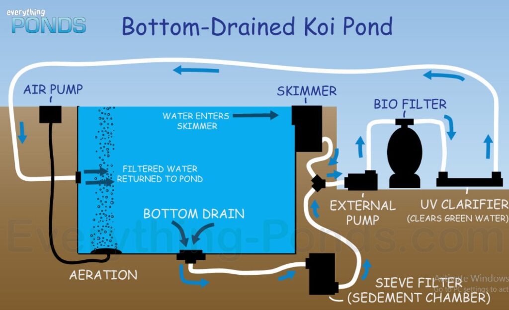 Membangun Sistem Filtrasi Kolam Yang Baik Untuk Ikan Koi