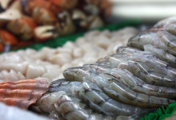 udang untuk makan ikan arwana udang untuk makan ikan arwana