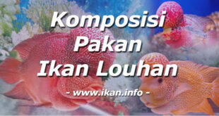 Menentukan Komposisi Pakan Ikan Louhan Yang Baik