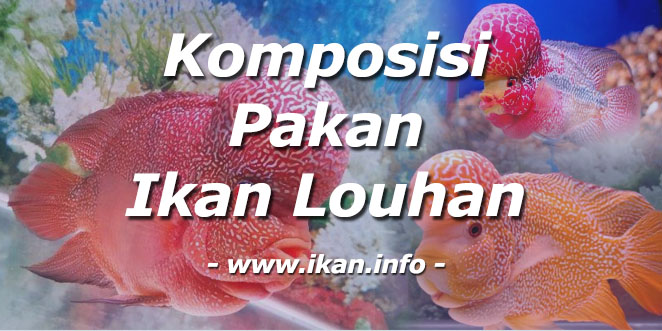 Komposisi Pakan Louhan