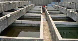 Pembuatan Kolam ikan beton
