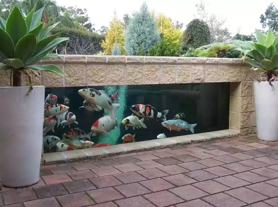 Desain Kolam Ikan Minimalis dengan Material Transparan