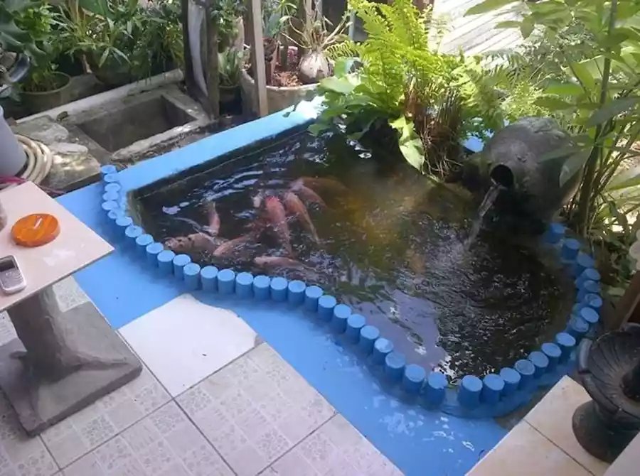 Ide Kolam Minimalis dengan Aksen Warna