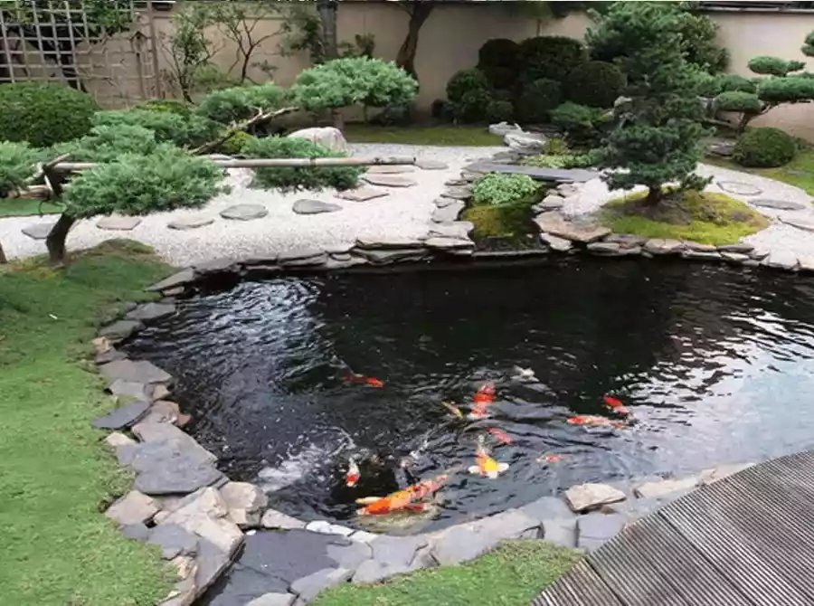 Ikan Minimalis dengan Pemandangan Jepang
