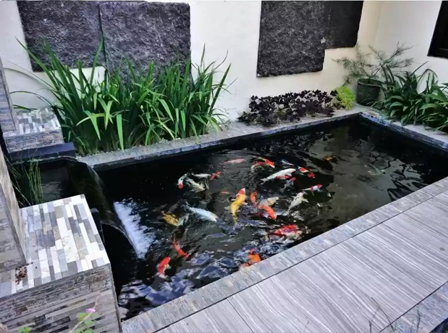 Kolam Ikan Indoor Minimalis