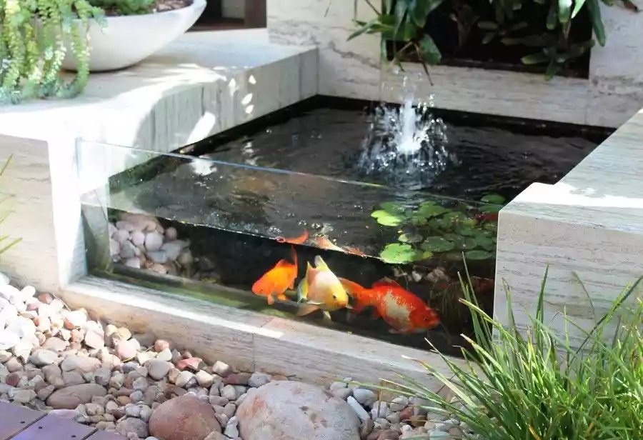 Kolam Ikan Minimalis dengan Air Terjun Kecil