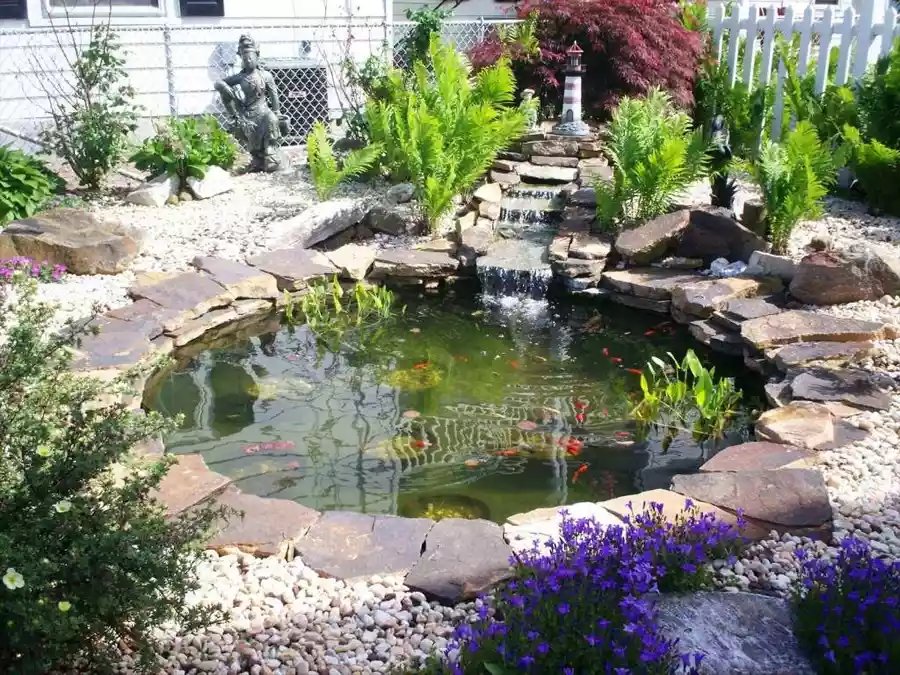 Kolam Ikan Minimalis dengan Batu Koral