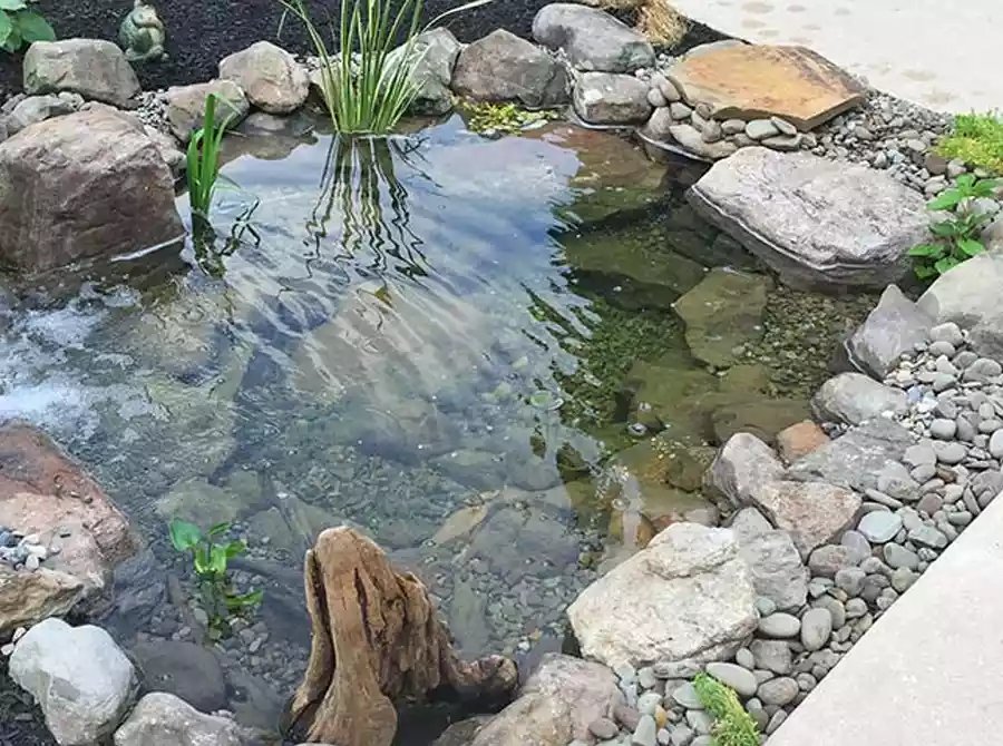 Kolam Ikan Minimalis dengan Dekorasi Batu Sungai