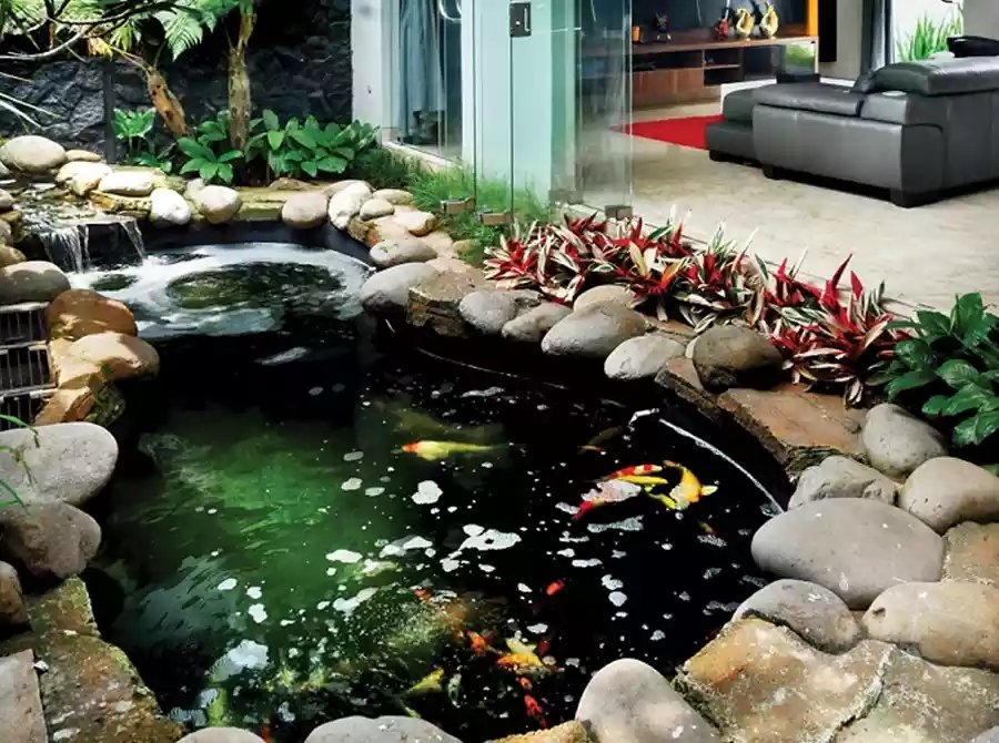 Kolam Ikan Minimalis dengan Hiasan Batu Alam