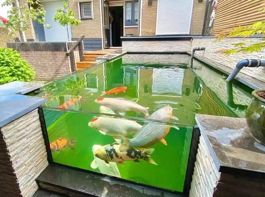 Kolam Ikan Minimalis dengan Sistem Filter yang Efektif