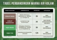 warna air yang baik untuk budidaya perikanan