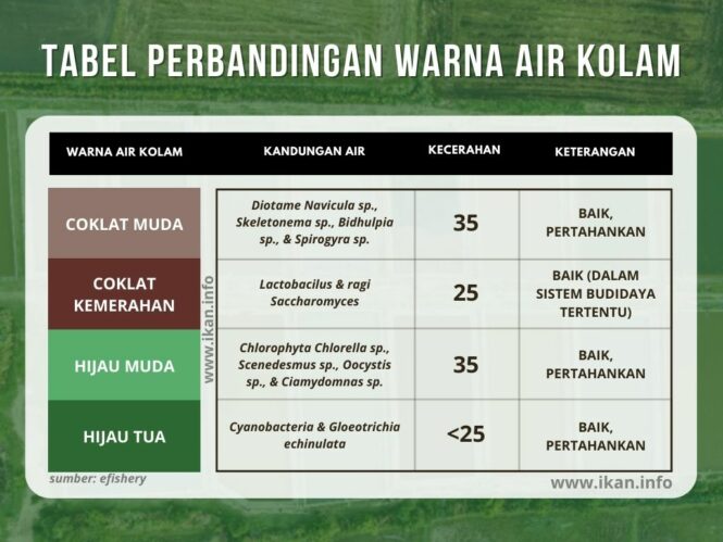 warna air yang baik untuk budidaya perikanan