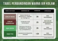 warna air kolam ikan