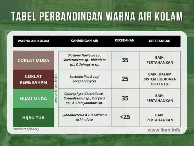 warna air kolam ikan