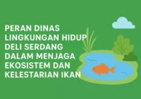 dlh deli serdang