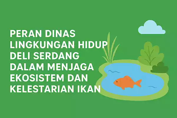 dlh deli serdang